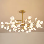 Chandelier Light |  30 to 63 Heads | Ridorn