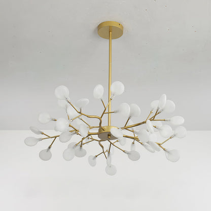 Chandelier Light |  30 to 63 Heads | Ridorn