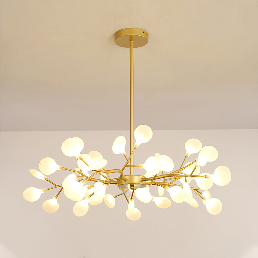 Chandelier Light |  30 to 63 Heads | Ridorn