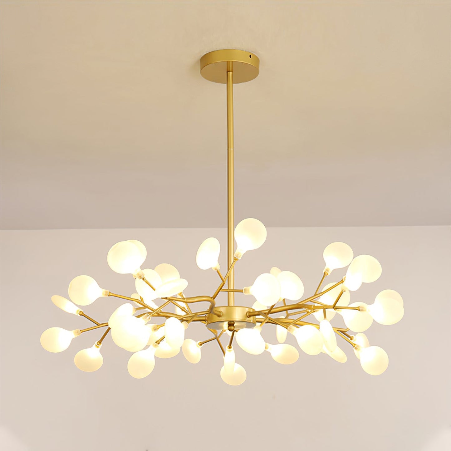Chandelier Light |  30 to 63 Heads | Ridorn