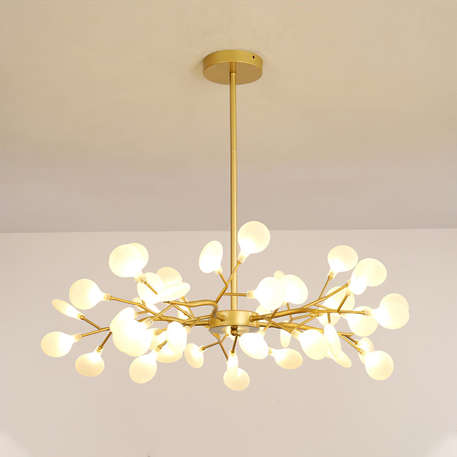 Chandelier Light |  30 to 63 Heads | Ridorn