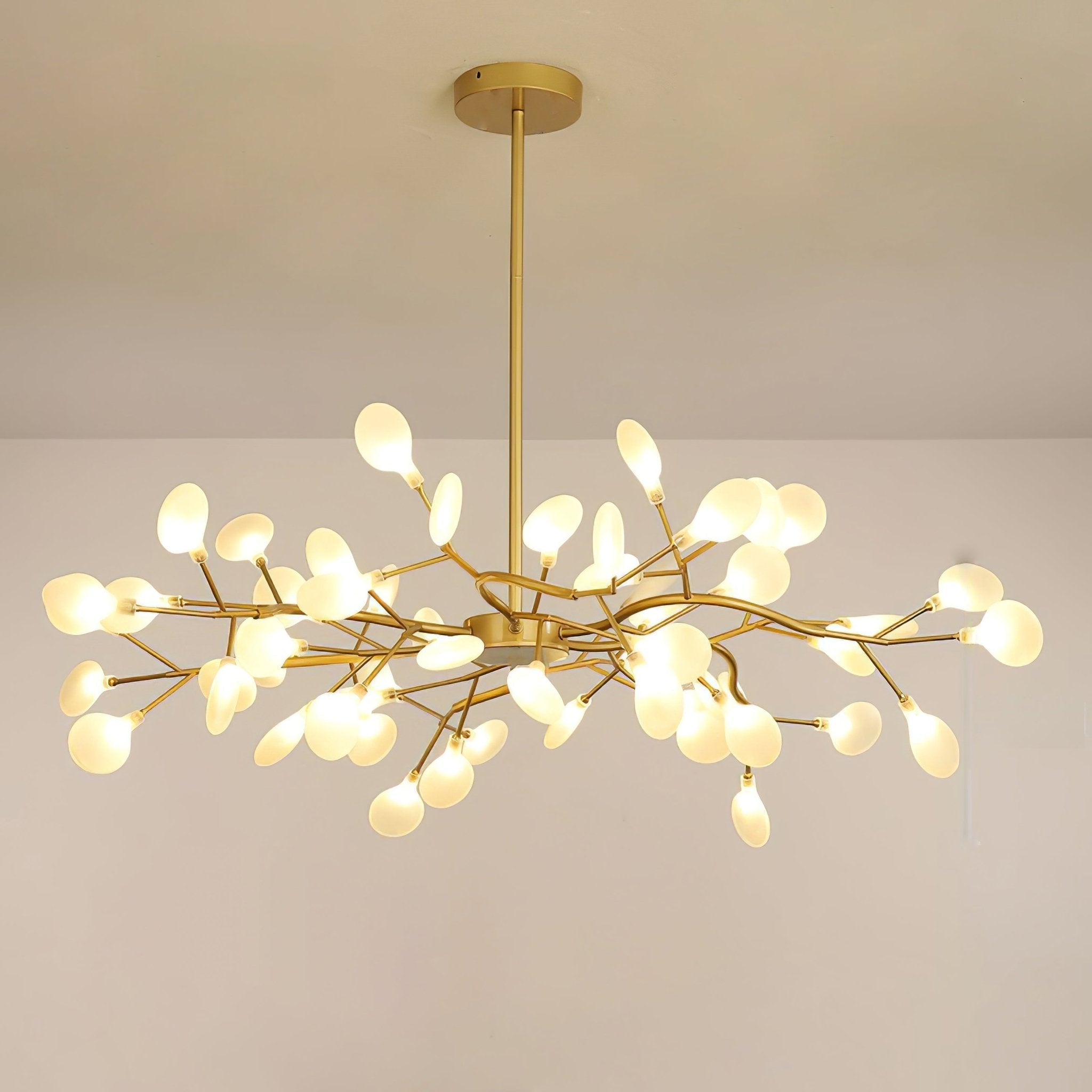 Chandelier Light |  30 to 63 Heads | Ridorn