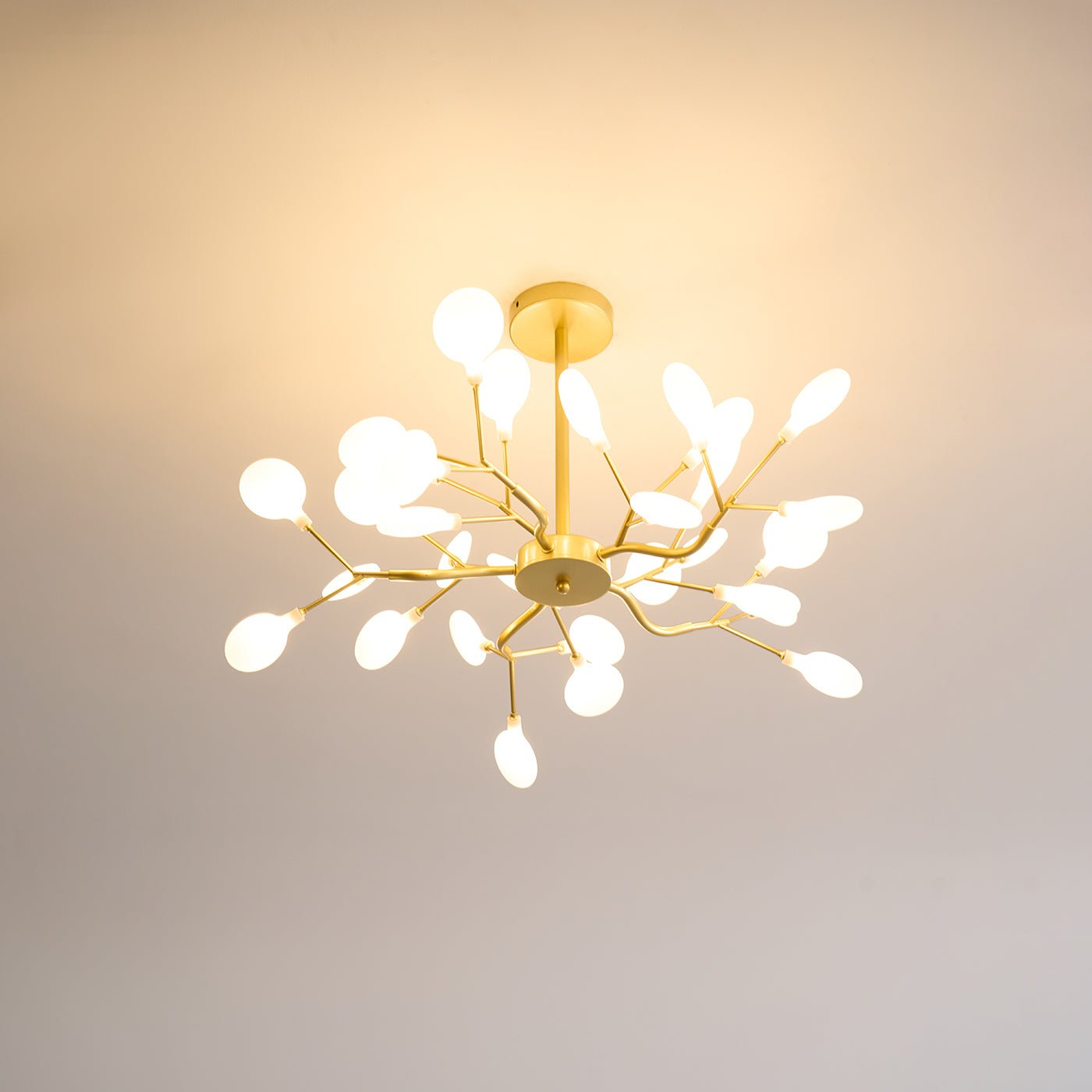 Chandelier Light |  30 to 63 Heads | Ridorn