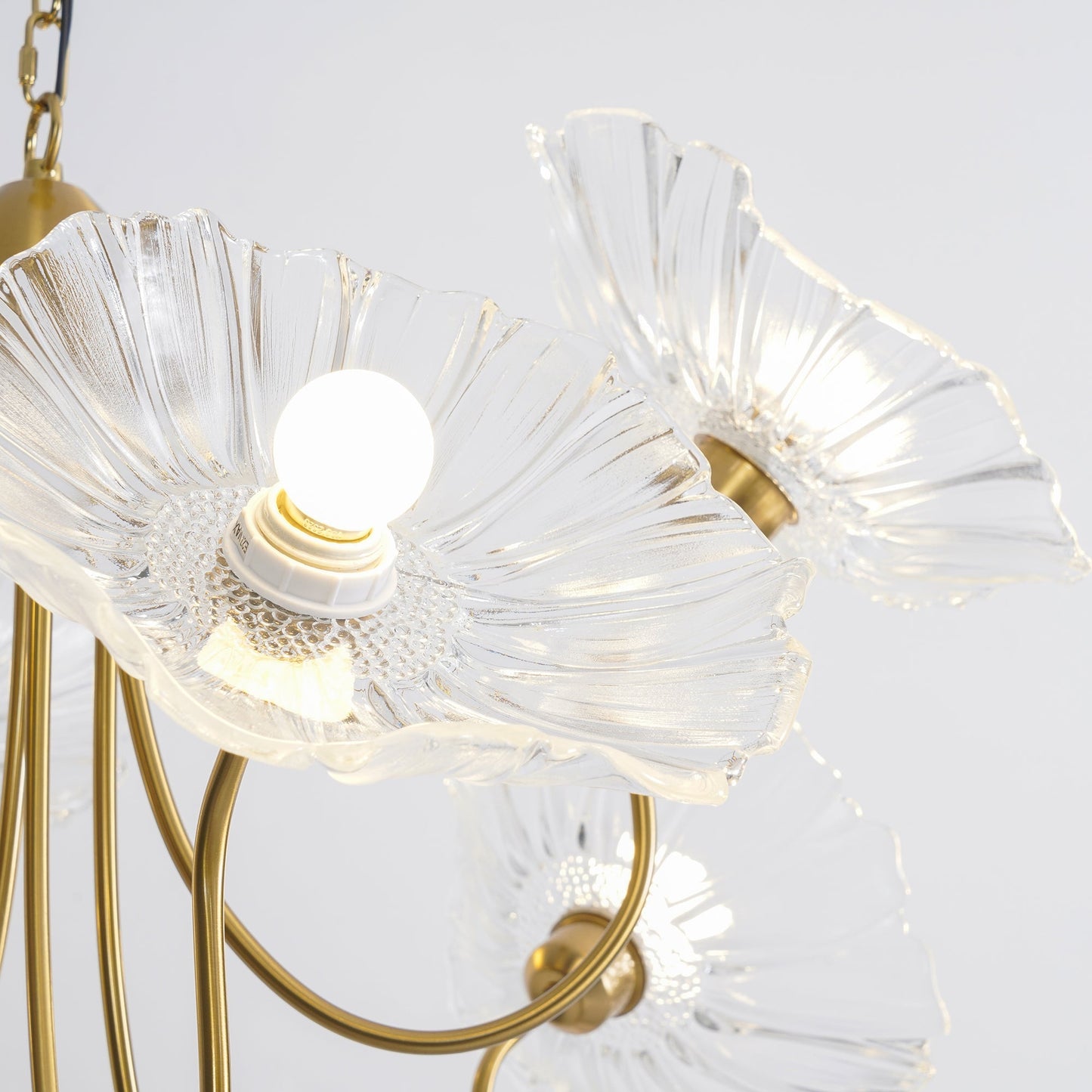 Chandelier Light | Ceiling Lamp with Lutos Flower Design | Ridorn
