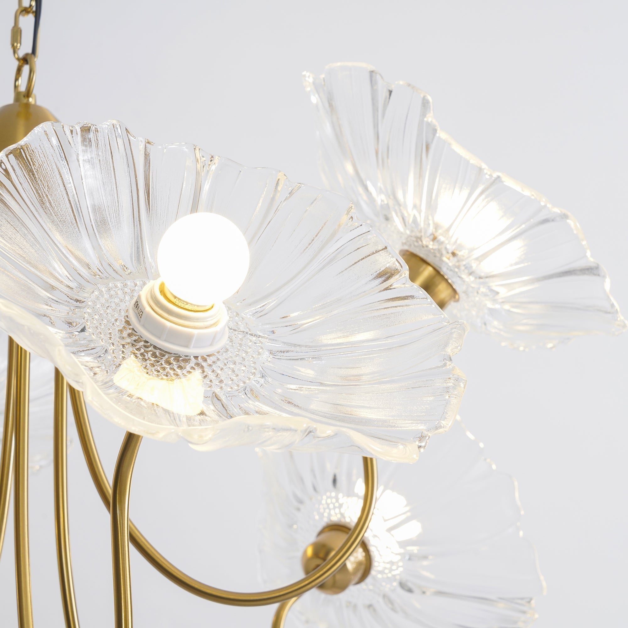 Chandelier Light Fixture | Ceiling Lamp with 3 or 6 Heads | Ridorn