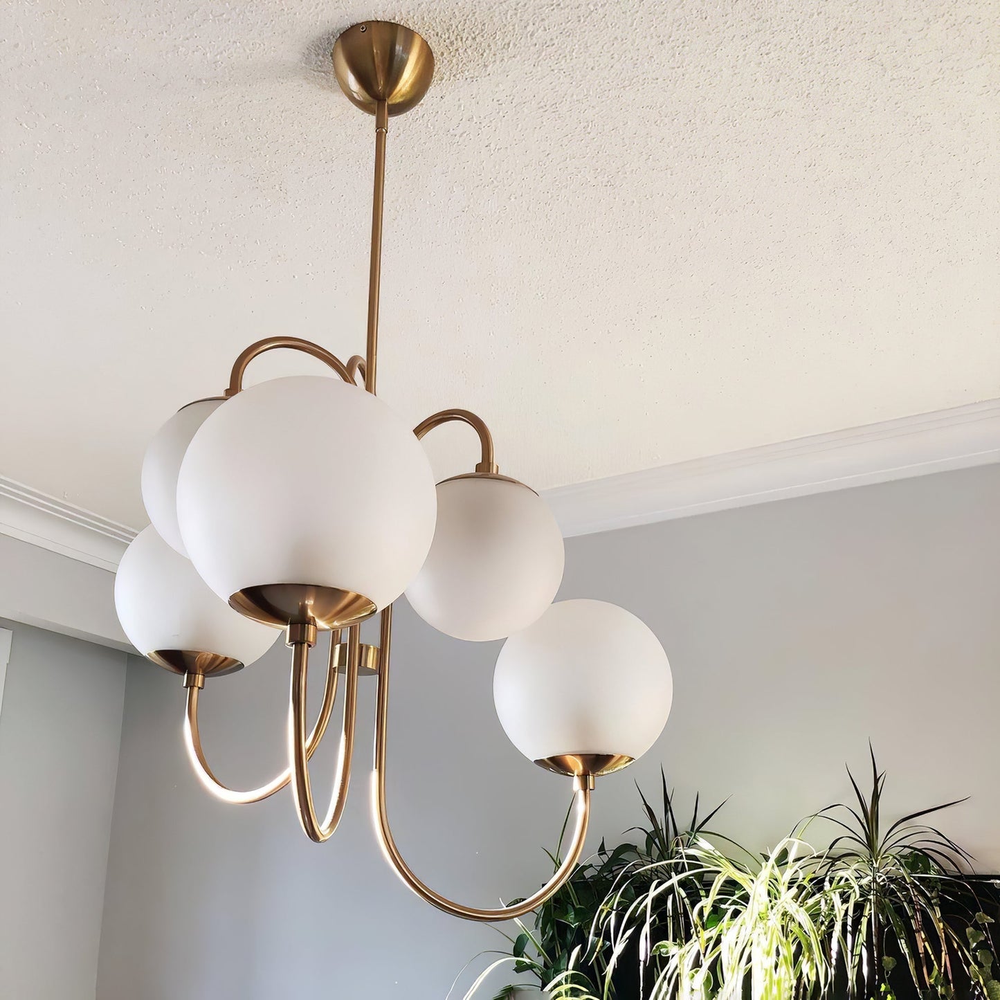 Chandelier Light Fixture | Ceiling Lamp with Gooseneck Design | Ridorn
