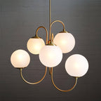 Chandelier Light Fixture | Ceiling Lamp with Gooseneck Design | Ridorn