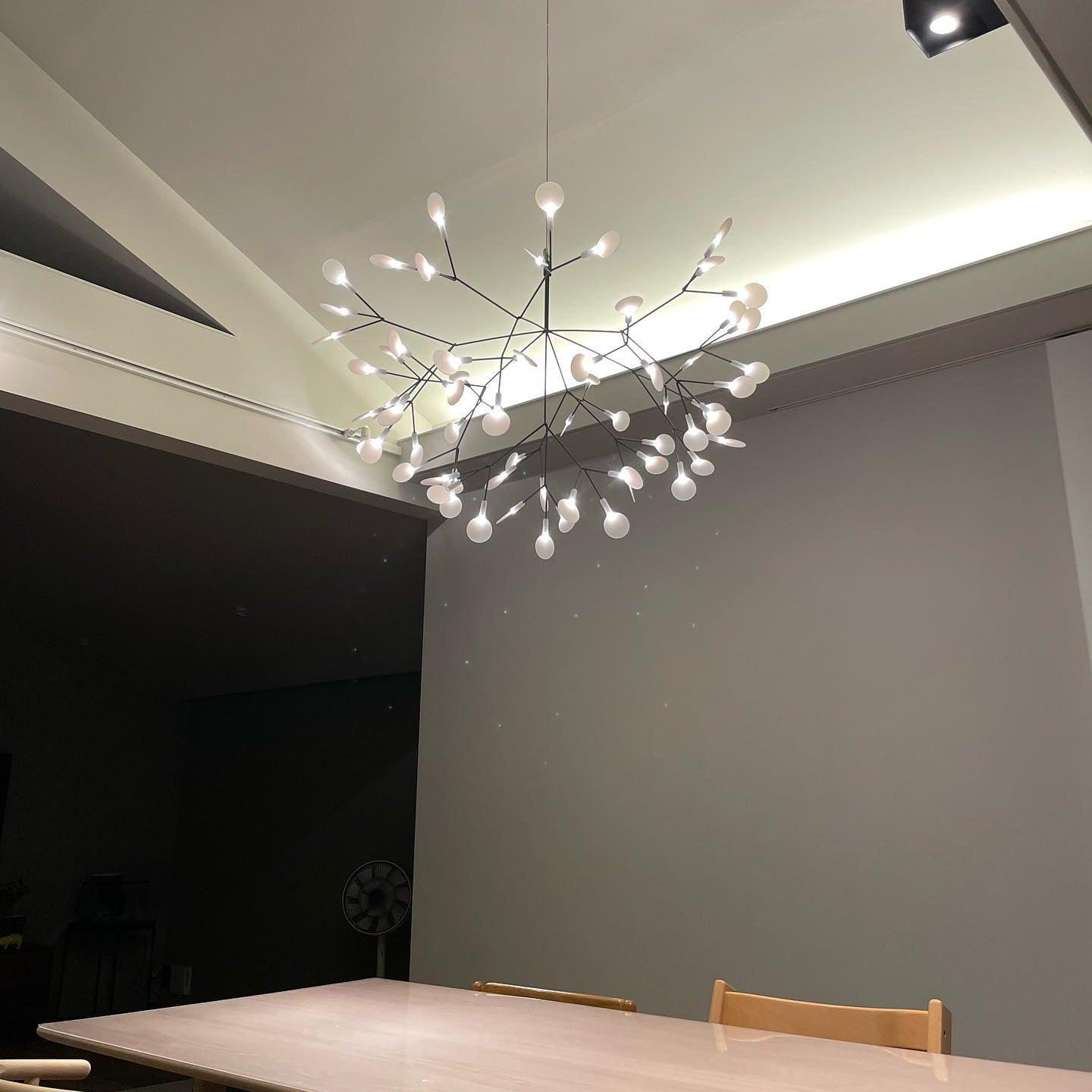 Chandelier Light Fixture | Ceiling Lamp with Multiple Heads | Ridorn