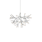 Chandelier Light Fixture | Ceiling Lamp with Multiple Heads | Ridorn