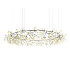 Chandelier Light Fixture | Ceiling Lamp with Multiple Heads | Ridorn