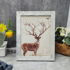 Falkero Photo Frame-Frames-Ridorn