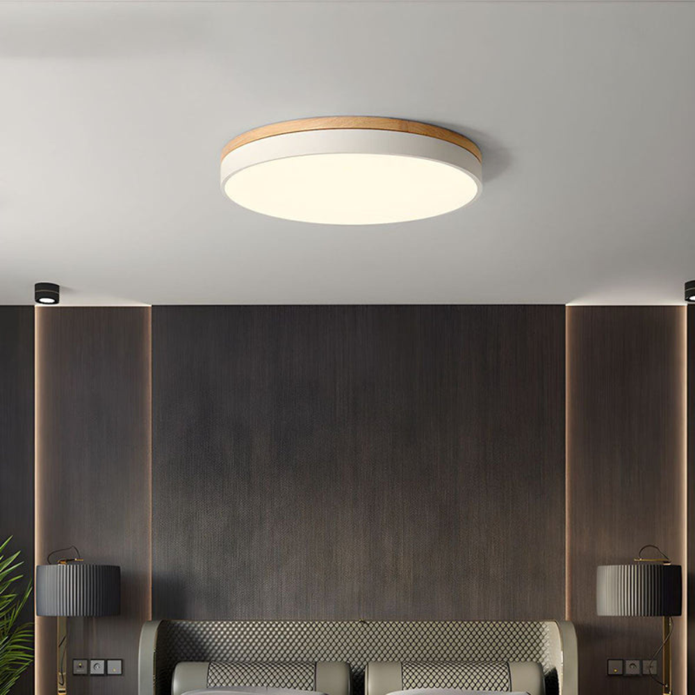 Modern Round Flush-Mount Ceiling Light for Stylish Spaces | Ridorn
