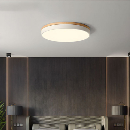 Modern Round Flush-Mount Ceiling Light for Stylish Spaces | Ridorn