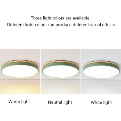 Modern Round Flush-Mount Ceiling Light for Stylish Spaces | Ridorn