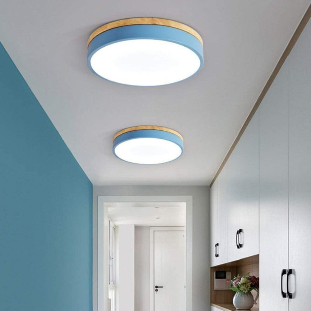 Modern Round Flush-Mount Ceiling Light for Stylish Spaces | Ridorn