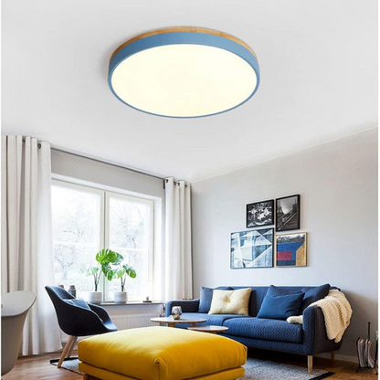 Modern Round Flush-Mount Ceiling Light for Stylish Spaces | Ridorn
