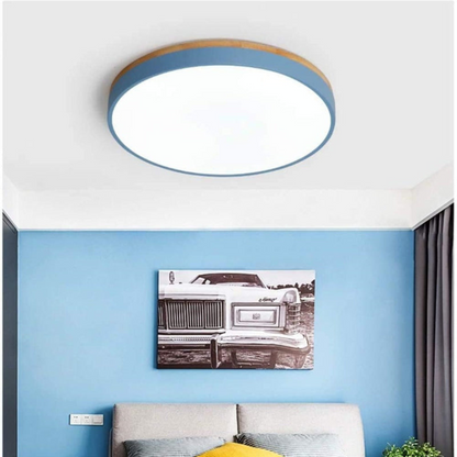 Modern Round Flush-Mount Ceiling Light for Stylish Spaces | Ridorn