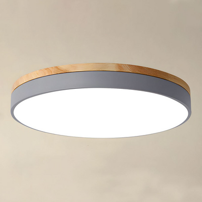 Modern Round Flush-Mount Ceiling Light for Stylish Spaces | Ridorn
