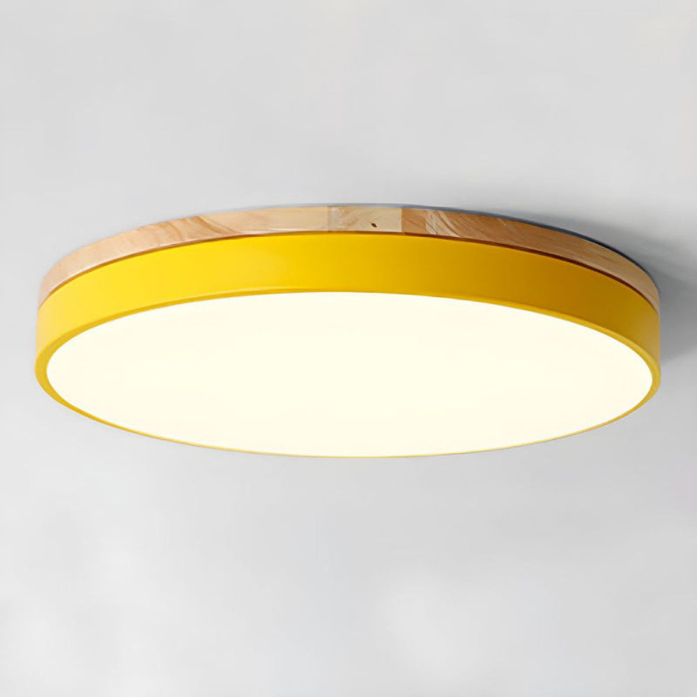 Modern Round Flush-Mount Ceiling Light for Stylish Spaces | Ridorn