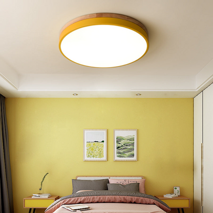 Modern Round Flush-Mount Ceiling Light for Stylish Spaces | Ridorn