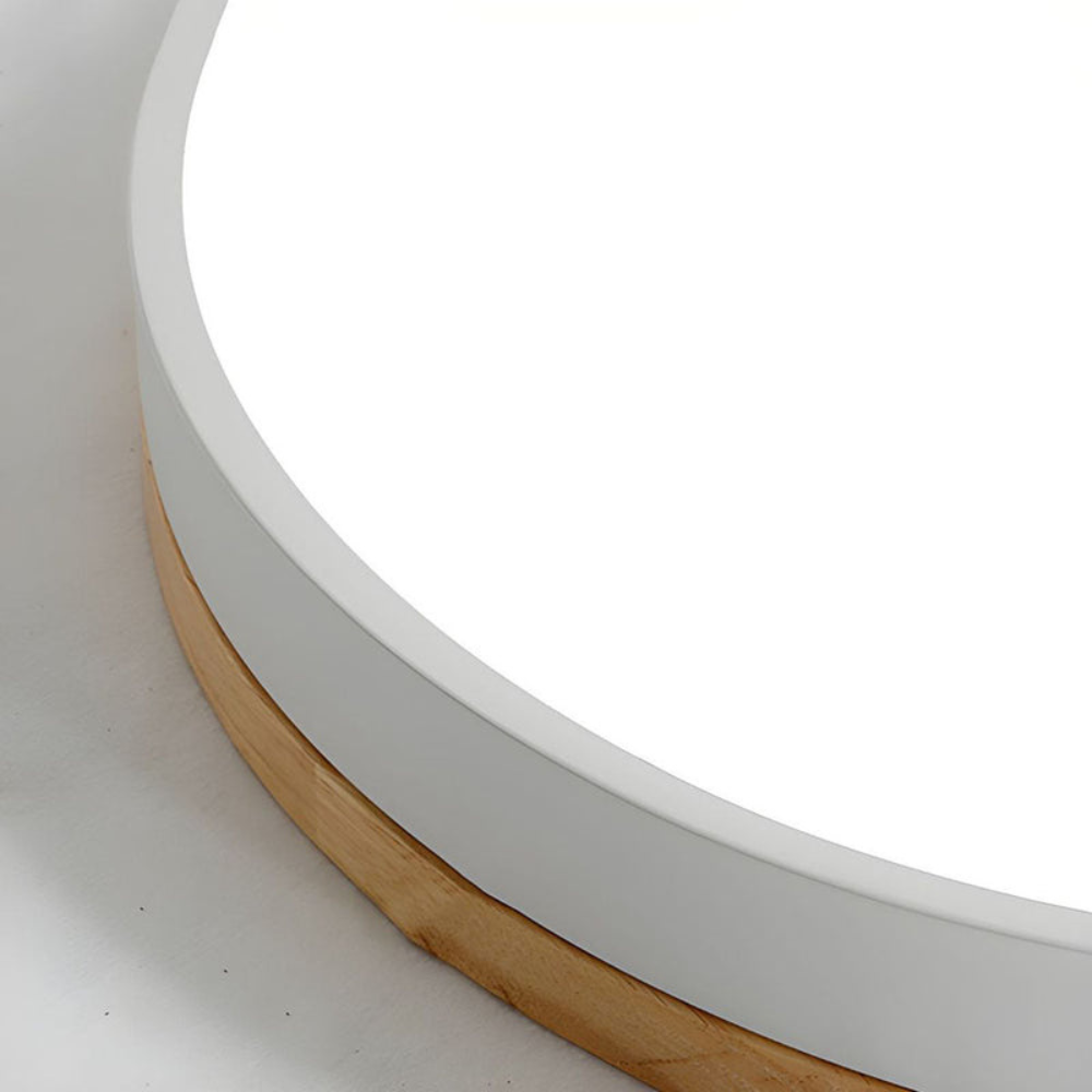 Modern Round Flush-Mount Ceiling Light for Stylish Spaces | Ridorn