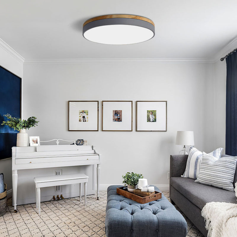 Modern Round Flush-Mount Ceiling Light for Stylish Spaces | Ridorn