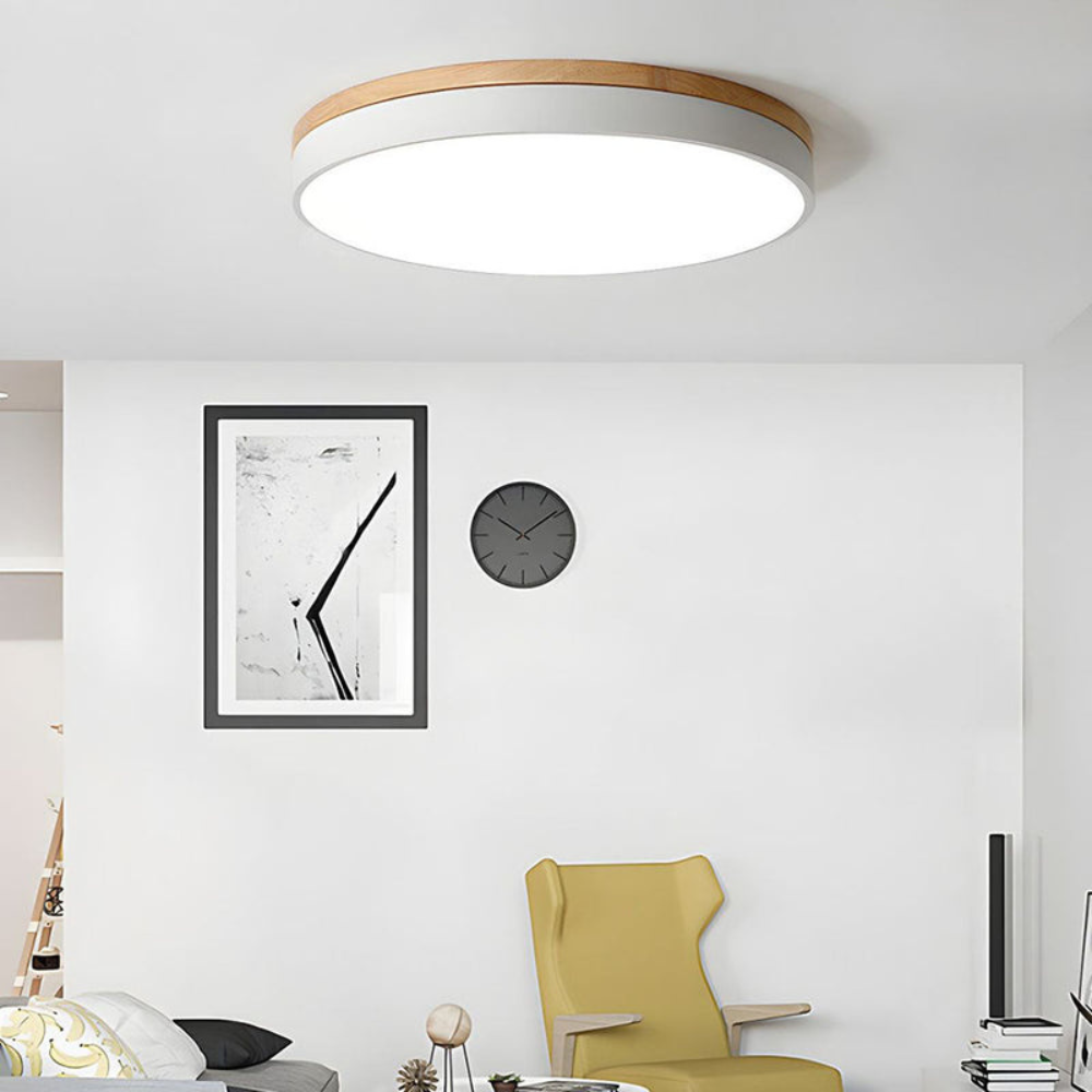 Modern Round Flush-Mount Ceiling Light for Stylish Spaces | Ridorn