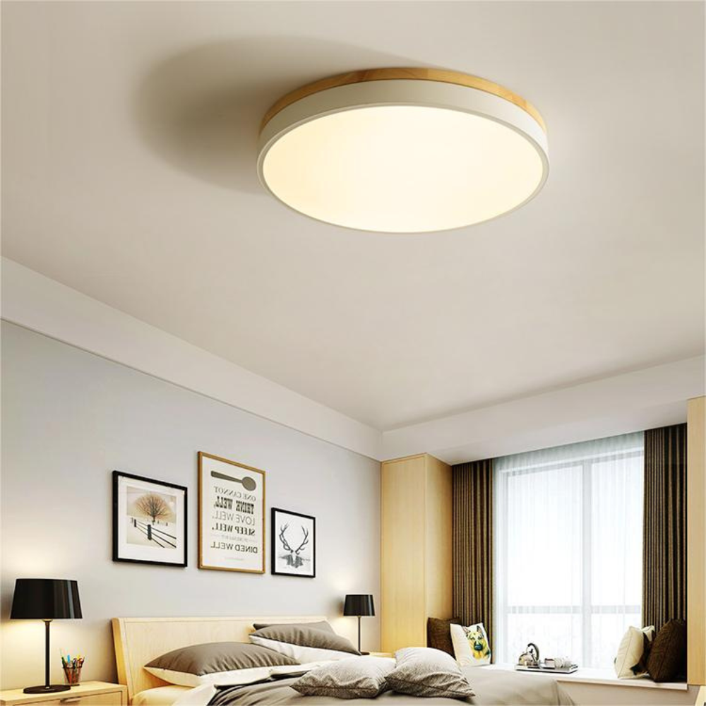 Modern Round Flush-Mount Ceiling Light for Stylish Spaces | Ridorn