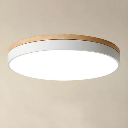 Modern Round Flush-Mount Ceiling Light for Stylish Spaces | Ridorn