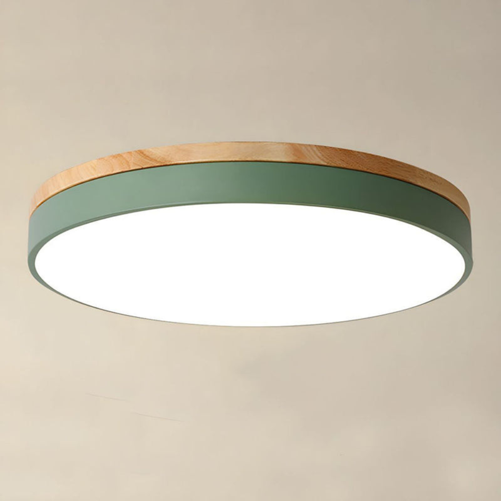 Modern round flush-mount ceiling light for stylish interiors