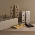 Gaelus Door Hinge-Ridorn