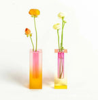 Juderidge Vase Collection-Vases-Ridorn