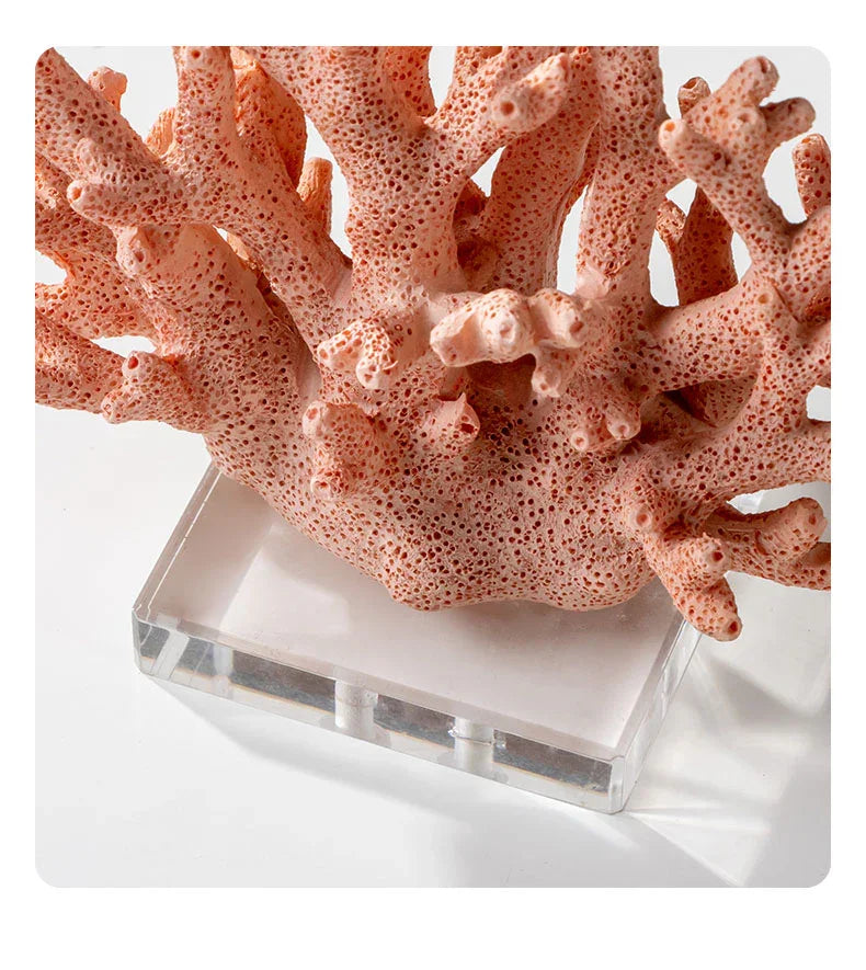 Kaelora Bay Reef Decoration-Decoration-Ridorn