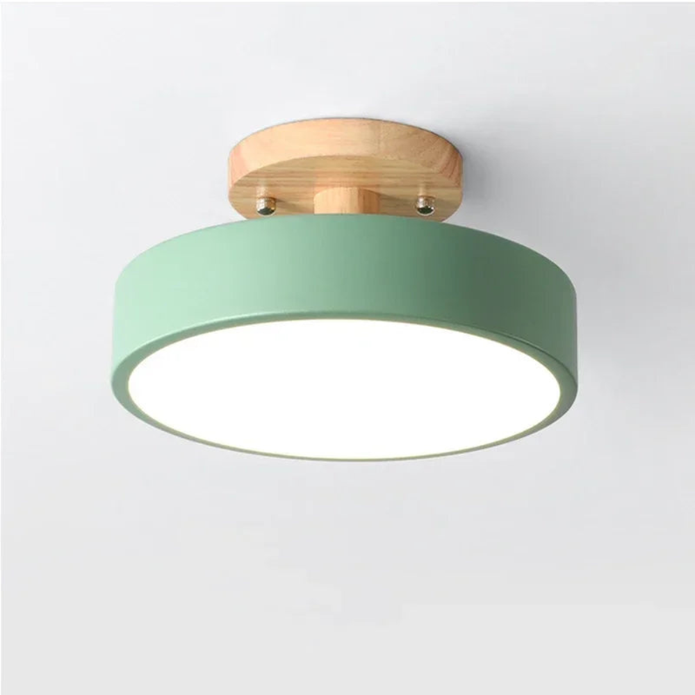 Modern Round LED Ceiling Light for Entryways and Hallways | Ridorn