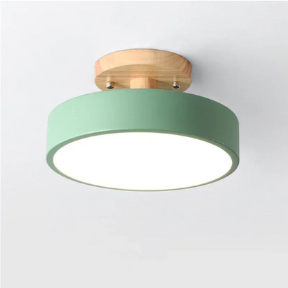 Modern Round LED Ceiling Light for Entryways and Hallways | Ridorn