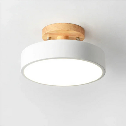 Modern Round LED Ceiling Light for Entryways and Hallways | Ridorn
