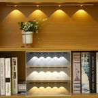 Wireless LED Light Bulb | Motion Sensor for Indoor Use | Ridorn