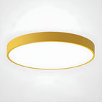 Sleek Circular LED Ceiling Light for Modern Living Spaces | Ridorn