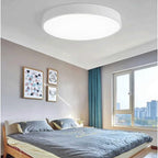 Sleek Circular LED Ceiling Light for Modern Living Spaces | Ridorn