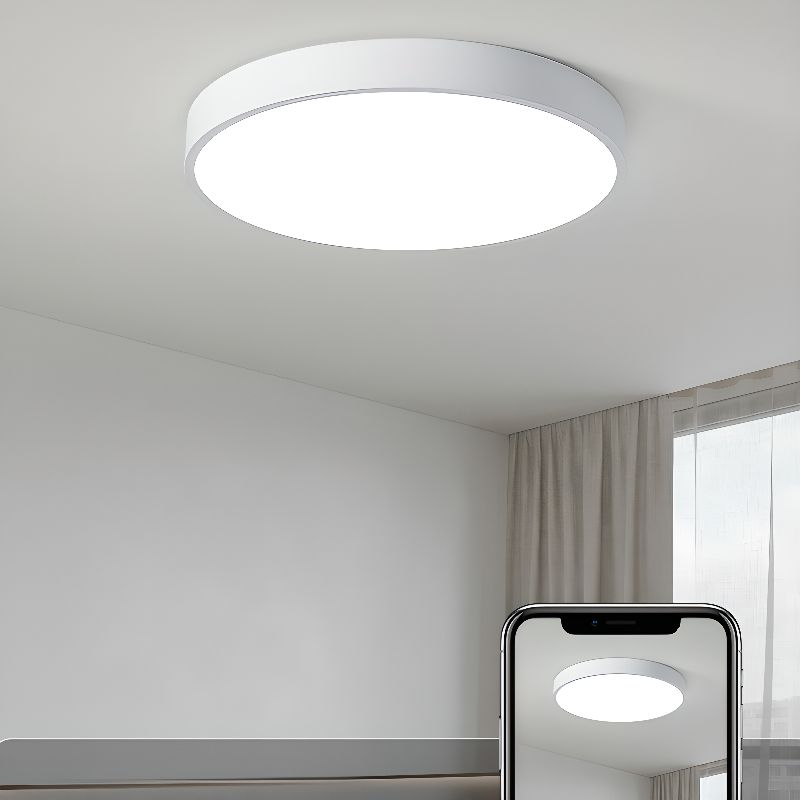 Sleek Circular LED Ceiling Light for Modern Living Spaces | Ridorn