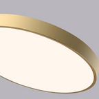 Sleek Circular LED Ceiling Light for Modern Living Spaces | Ridorn