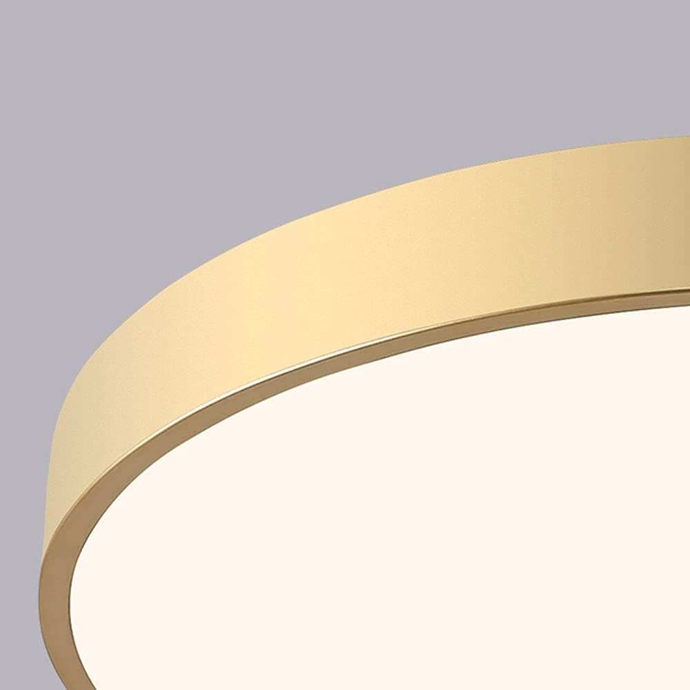 Sleek Circular LED Ceiling Light for Modern Living Spaces | Ridorn