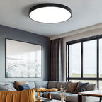 Sleek Circular LED Ceiling Light for Modern Living Spaces | Ridorn