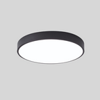 Sleek Circular LED Ceiling Light for Modern Living Spaces | Ridorn
