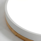 Modern Round Flush-Mount Ceiling Light for Stylish Spaces | Ridorn-Ceiling Lights-Ridorn