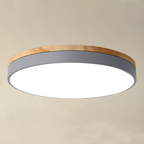Modern Round Flush-Mount Ceiling Light for Stylish Spaces | Ridorn-Ceiling Lights-Ridorn