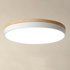 Modern Round Flush-Mount Ceiling Light for Stylish Spaces | Ridorn-Ceiling Lights-Ridorn