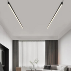 Premium Slim LED Ceiling Light with Adjustable Brightness | Ridorn-Ceiling Lights-Ridorn
