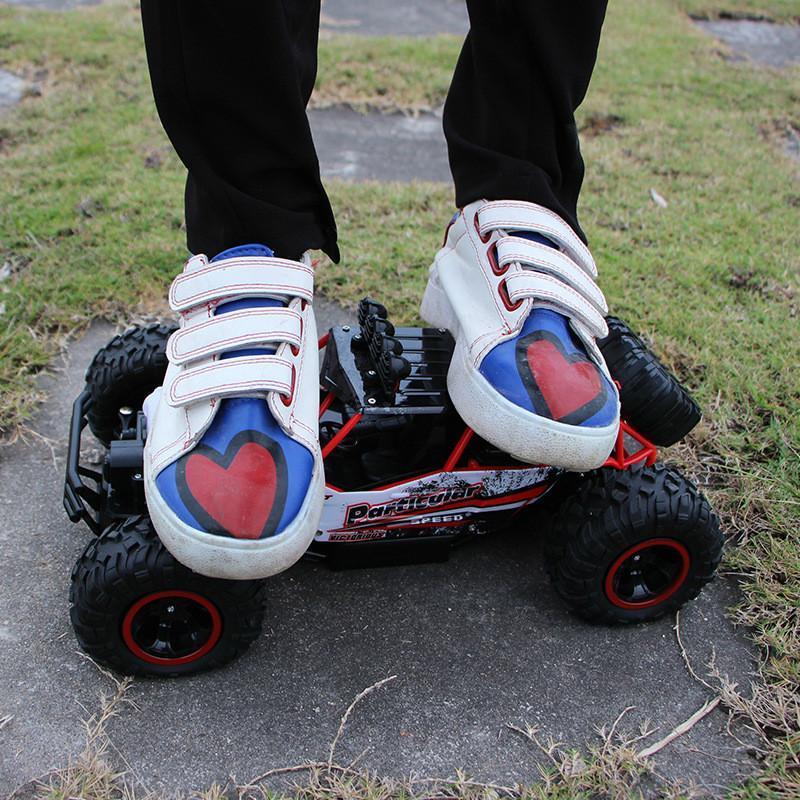 RC Rock Crawler 4x4, Off-Road Remote Control Truck with Dual Motors 4WD-Ridorn