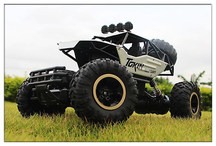 RC Rock Crawler 4x4, Off-Road Remote Control Truck with Dual Motors 4WD-Ridorn